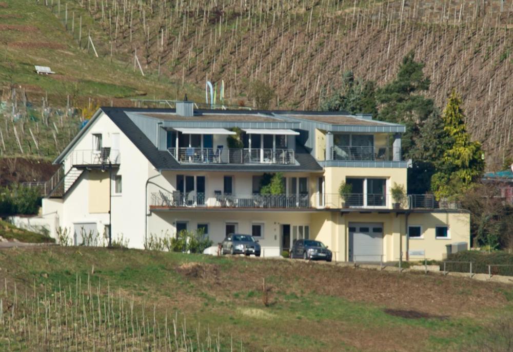 Ferienhaus Panorama Mosel Рейл Экстерьер фото
